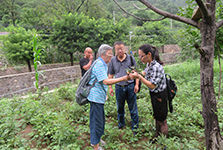 植环所党总支组织专家赴房山蒲洼森水村进行扶贫对接